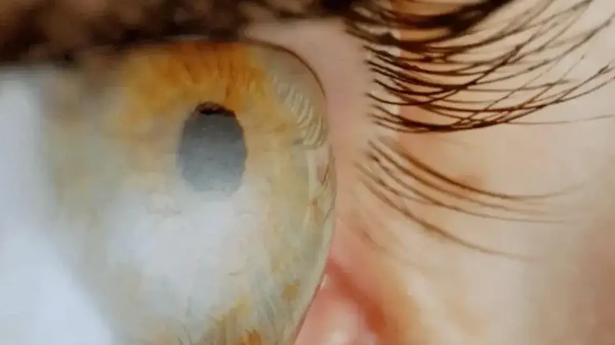 Extreme close-up of an eye looking off to the right.